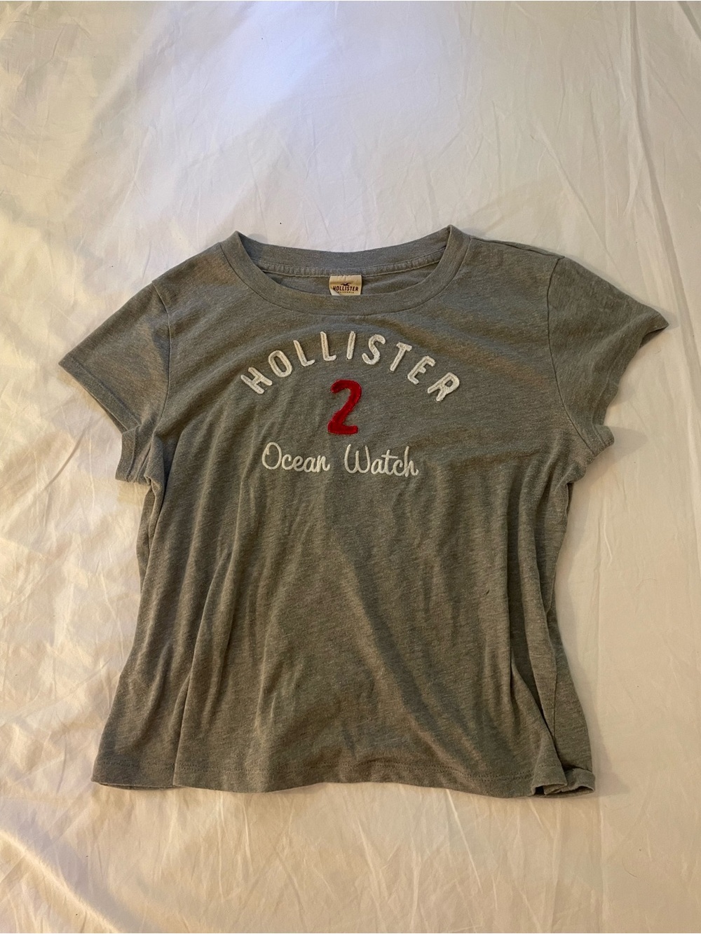 vintage hollister graphic tee🪽